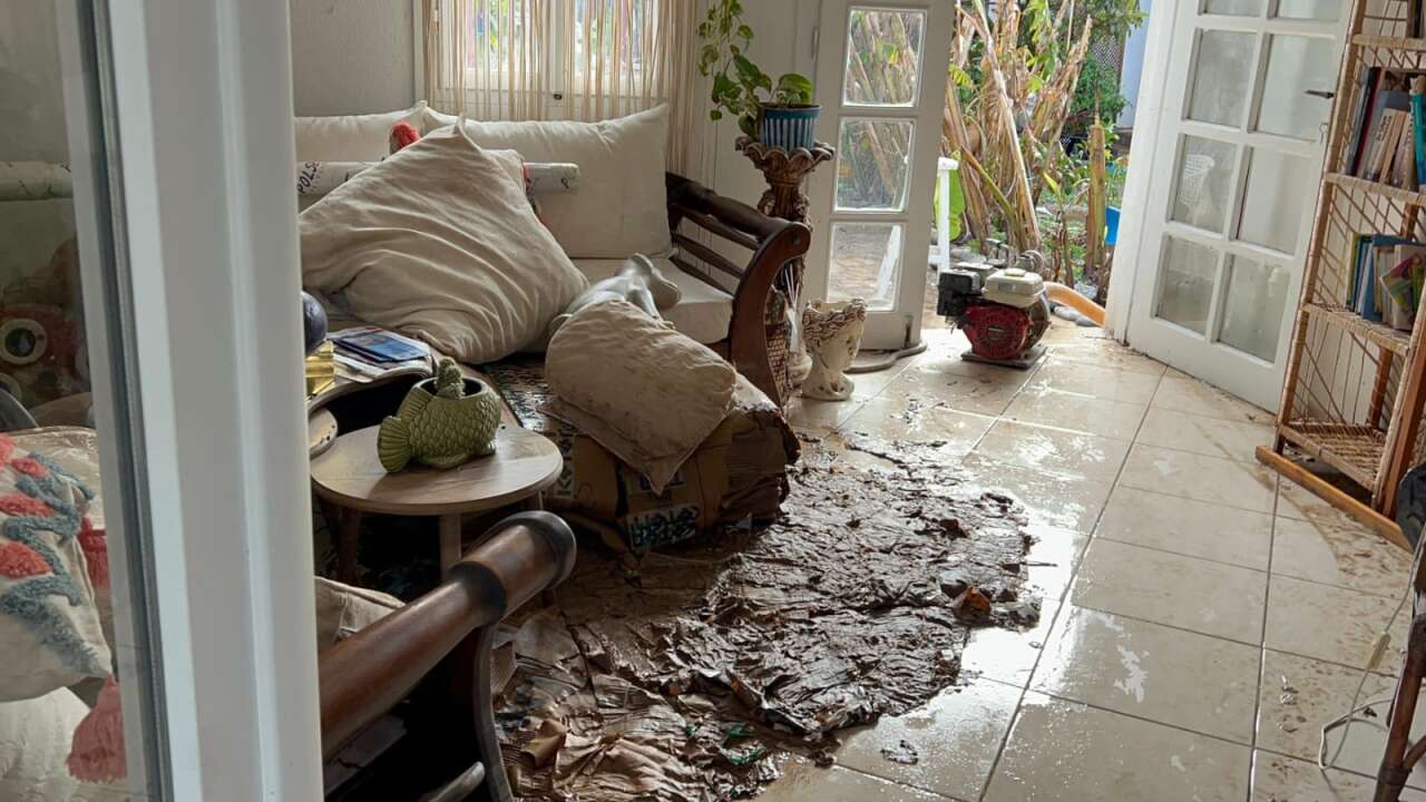 Bodrum’da Selin Tablosu Gün Ağarınca Ortaya Çıktı 6